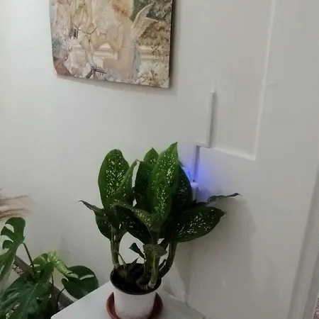 δωματιο 3 To Rent Nikos بيت ضيافة *