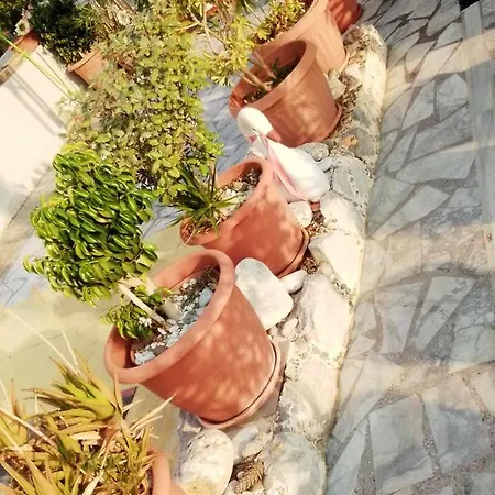 δωματιο 3 To Rent Nikos بيت ضيافة *